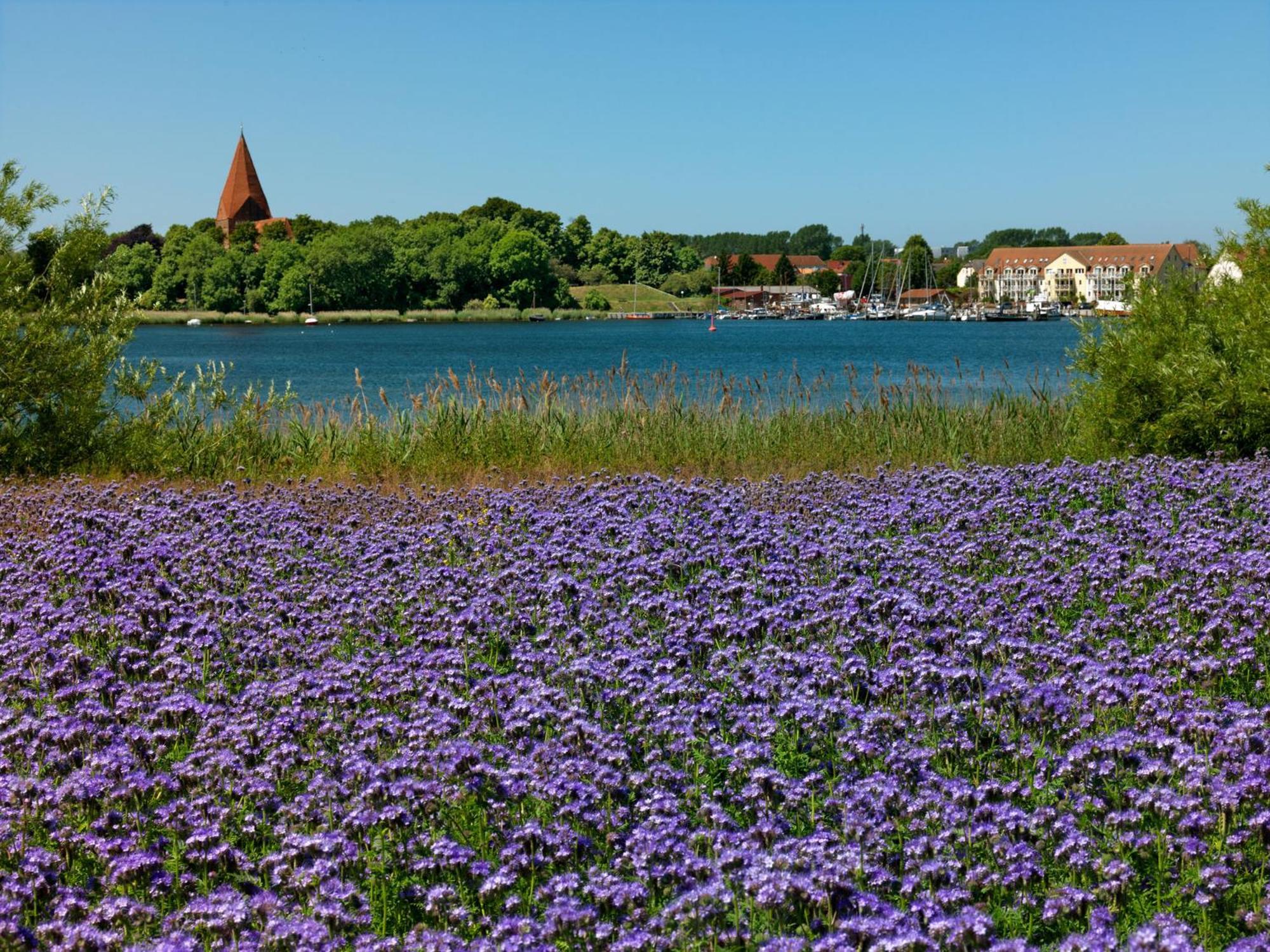 Daenisches Ferienhaus Kaltenhof 外观 照片